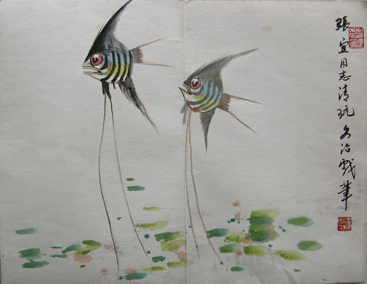 ������swz ����-�����ֻ���Ʒ