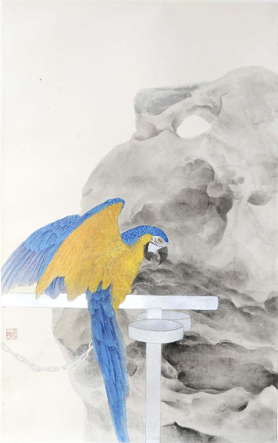 ���ٻ�csh �����ֻ���Ʒ