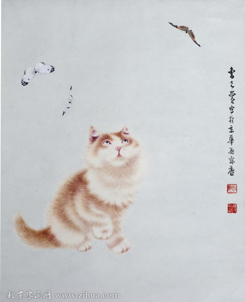 �ܿ���ckh �����ֻ���Ʒ