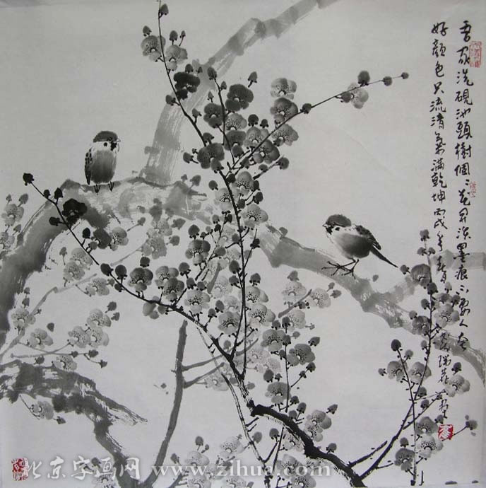 ����¹crl �����ֻ���Ʒ