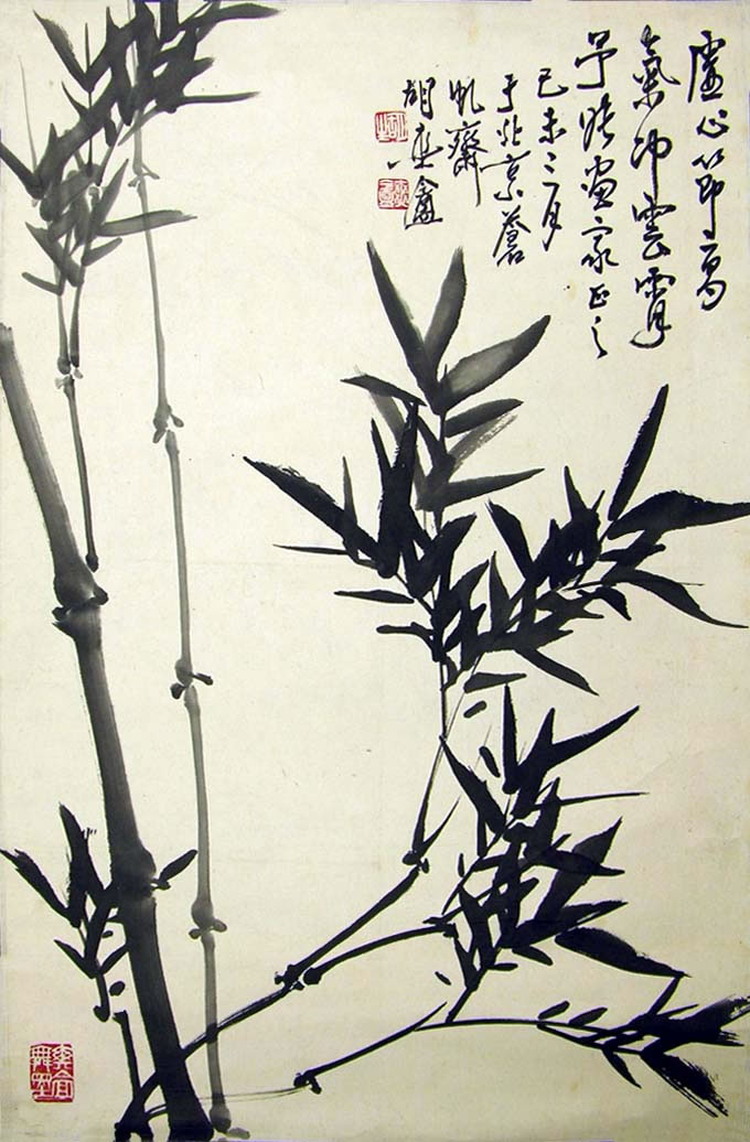 ��ˬ��hsc �����ֻ���Ʒ