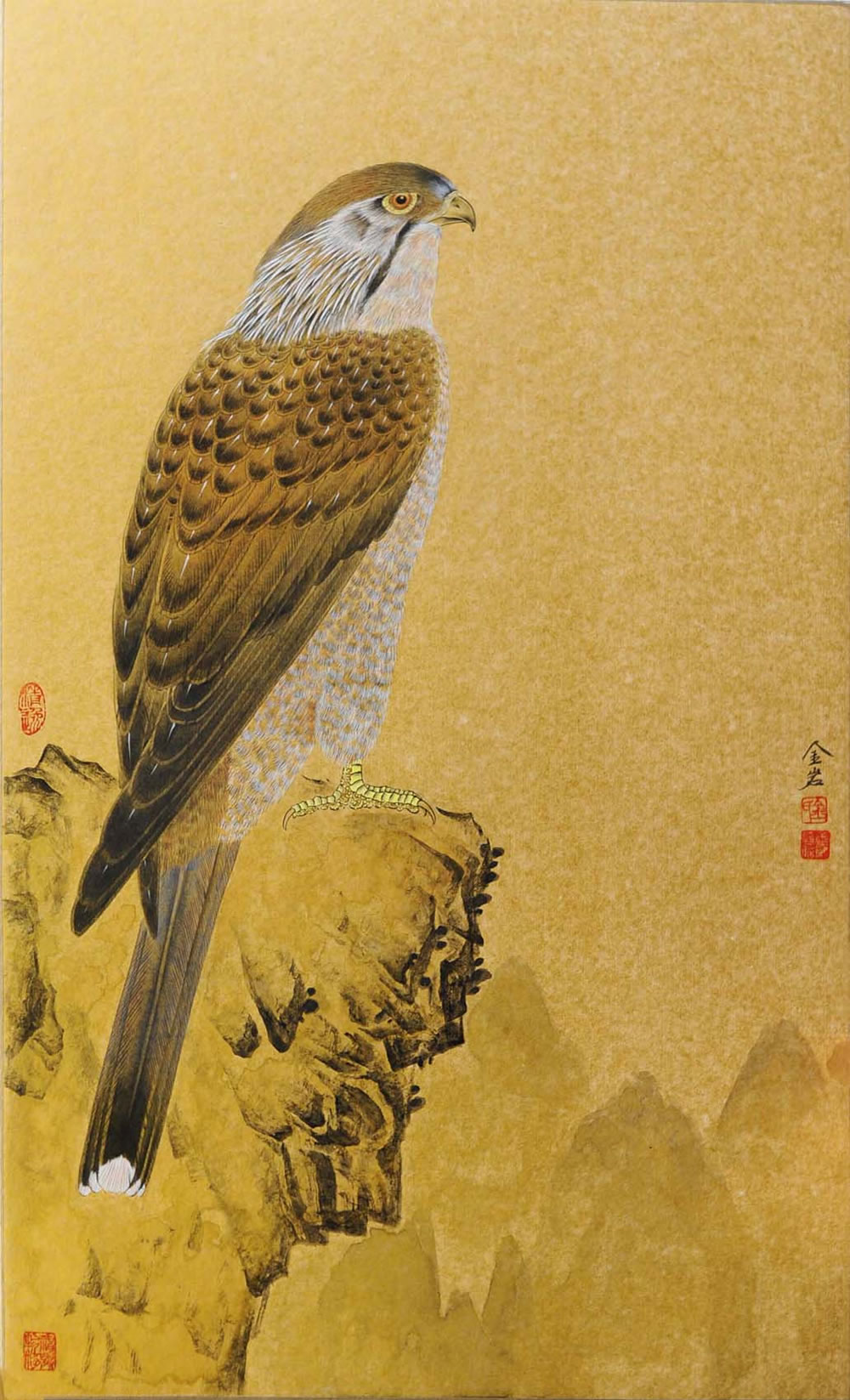 ����jy �����ֻ���Ʒ