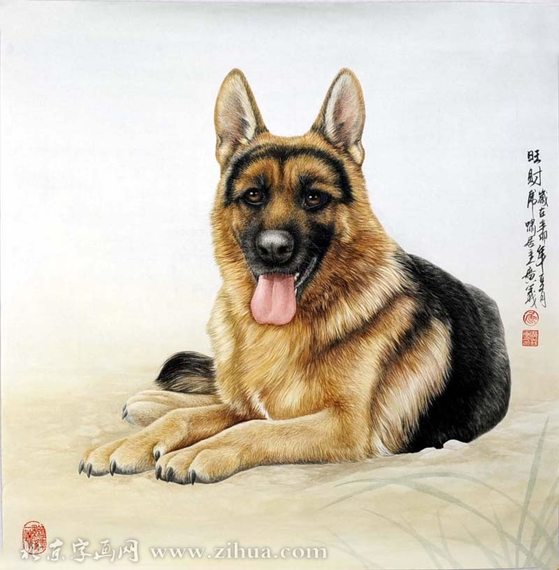 ������qgy Ȯ�ֻ���Ʒ