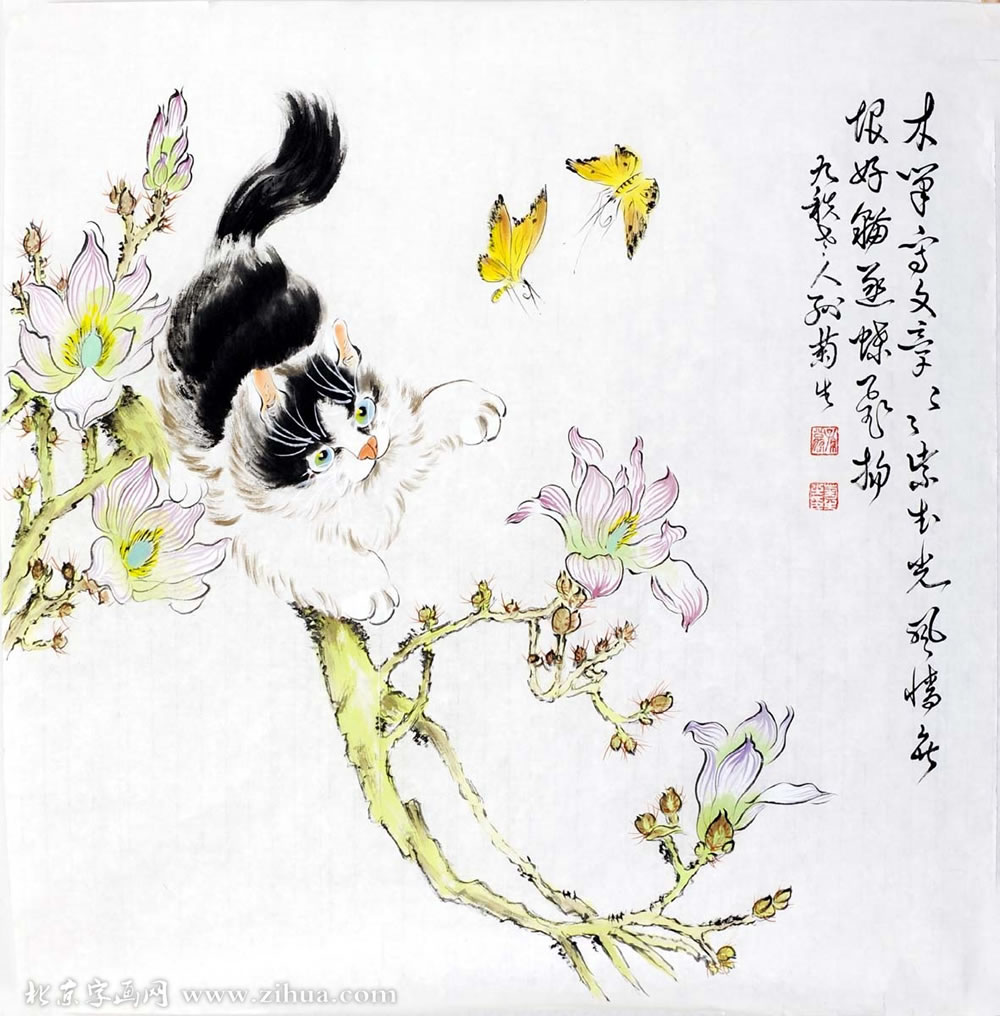 �����sjs è�ֻ���Ʒ