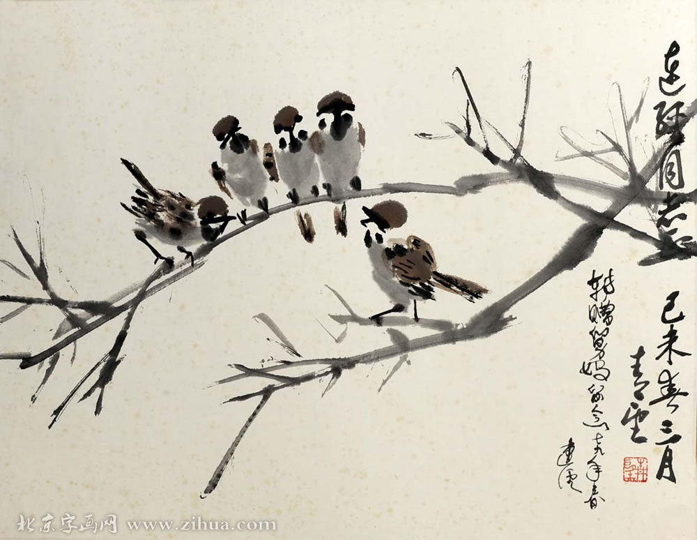 ����tl �����ֻ���Ʒ