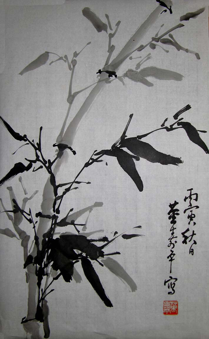 ����ƽdsp �����ֻ���Ʒ