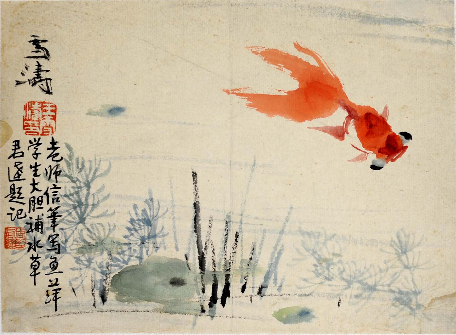 ��ѩ��wxt �����ֻ���Ʒ