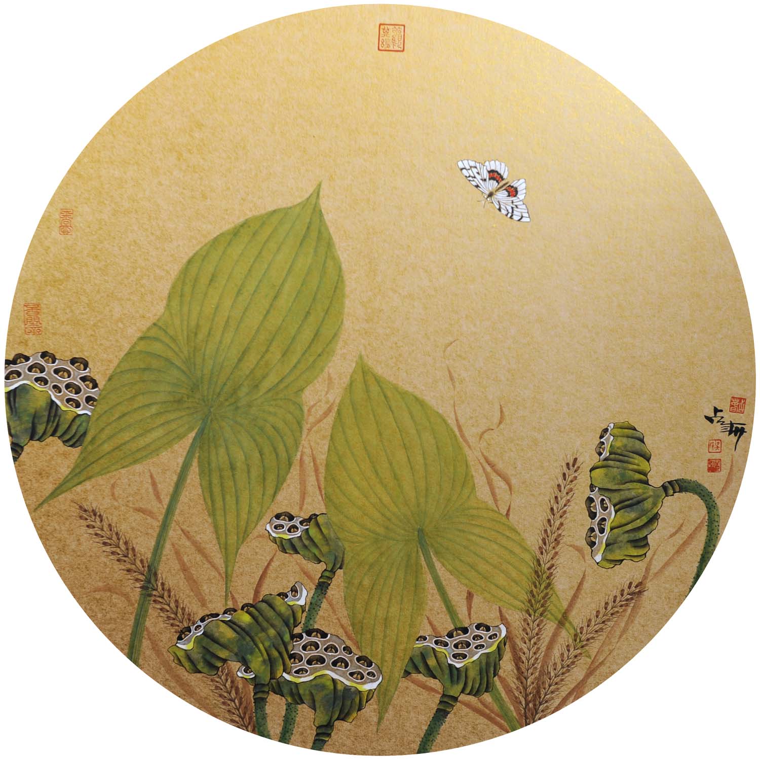 ��ռ��wzc �����ֻ���Ʒ