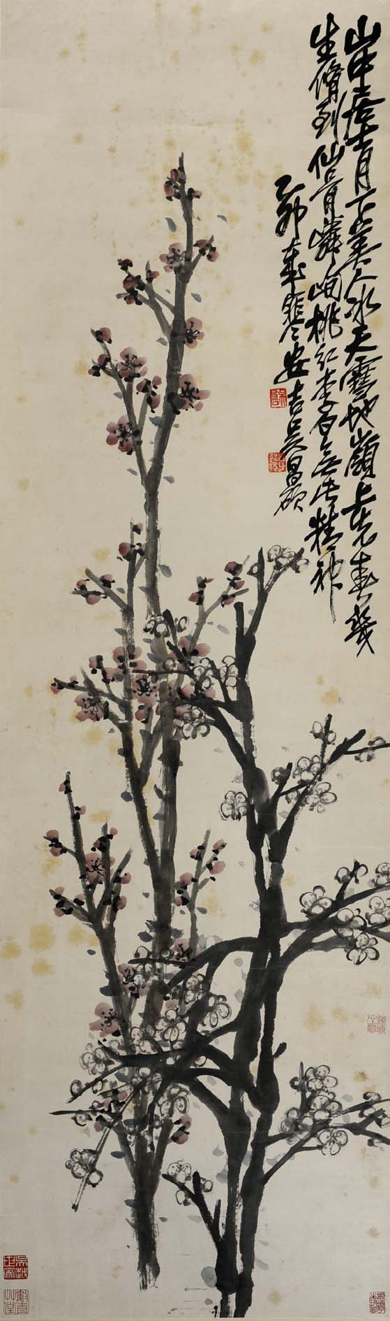 ���˶wcs ���������ֻ���Ʒ