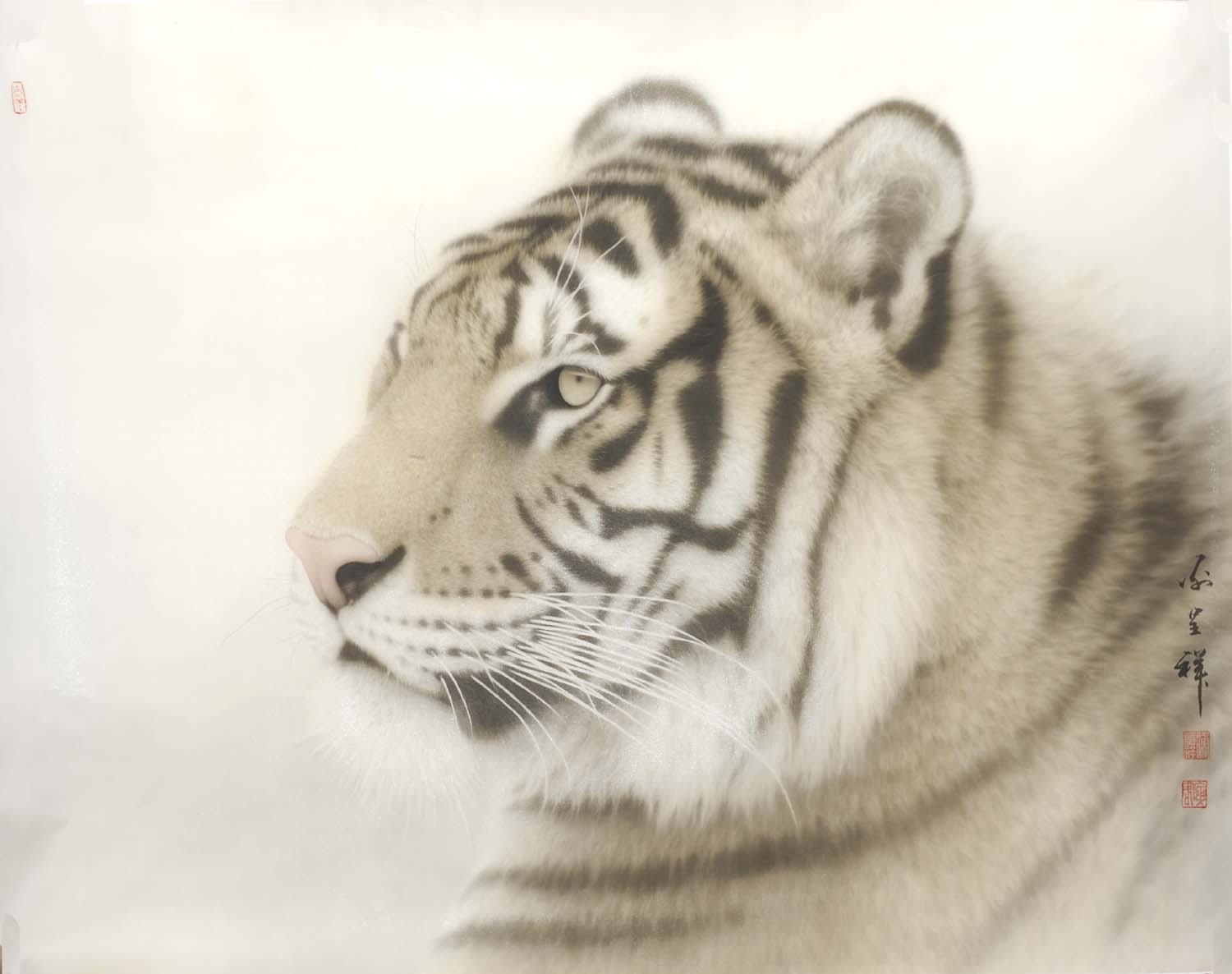 л����xcx ����֮���ֻ���Ʒ