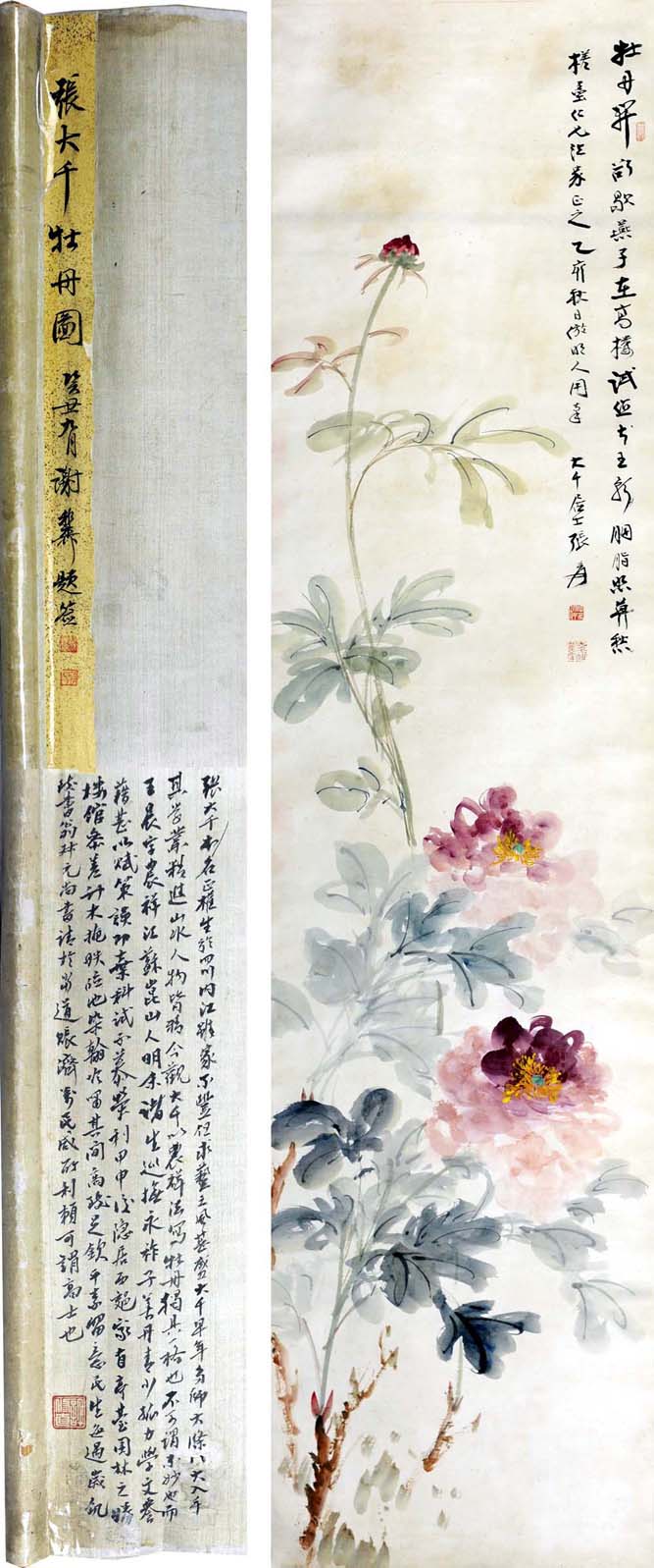 �Ŵ�ǧzdq ĵ��ͼ�ֻ���Ʒ