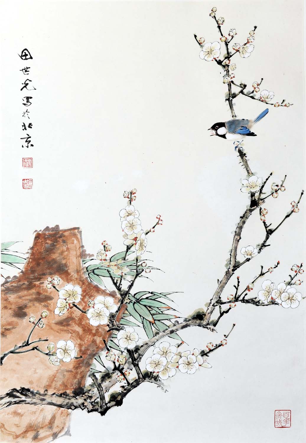 ������tsg ����ͼ�ֻ���Ʒ