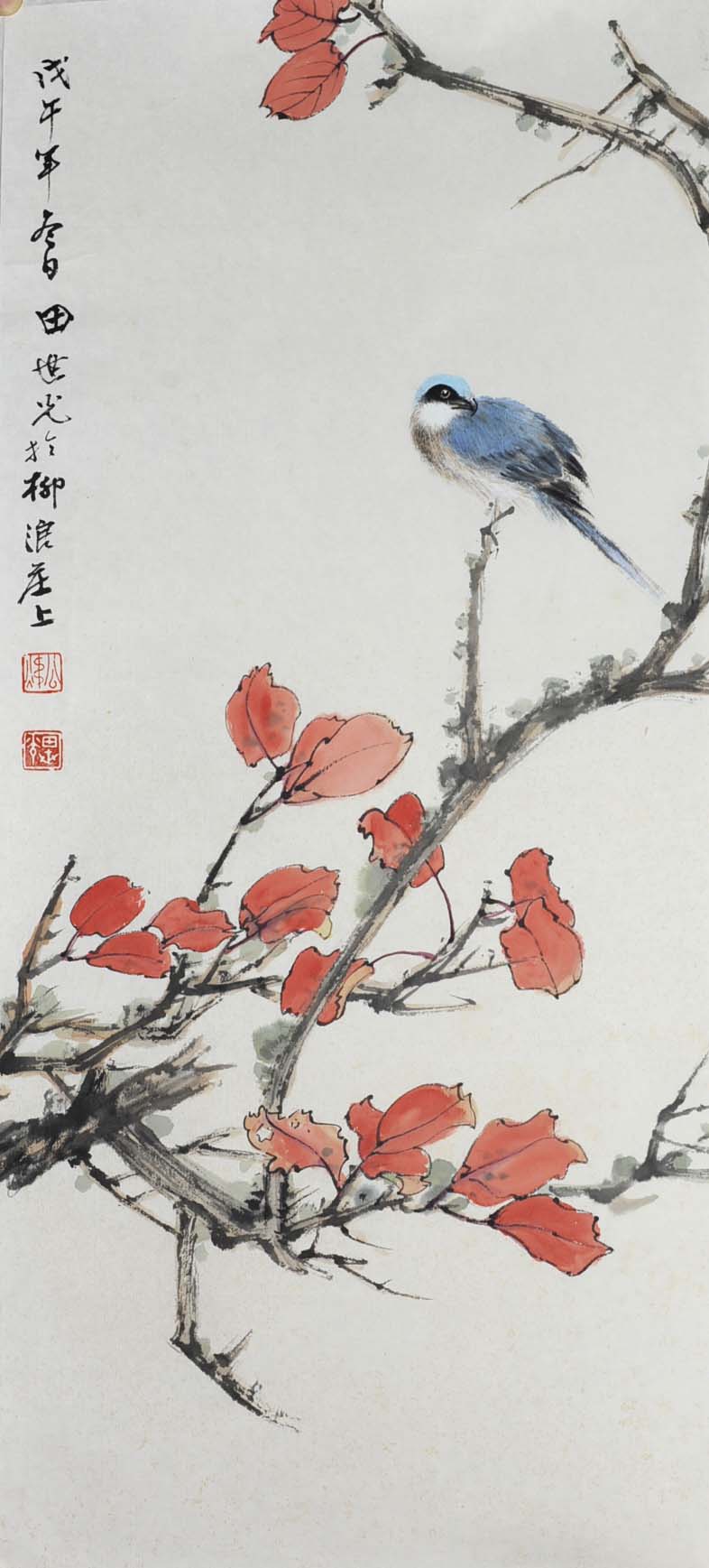 ������tsg �����ֻ���Ʒ