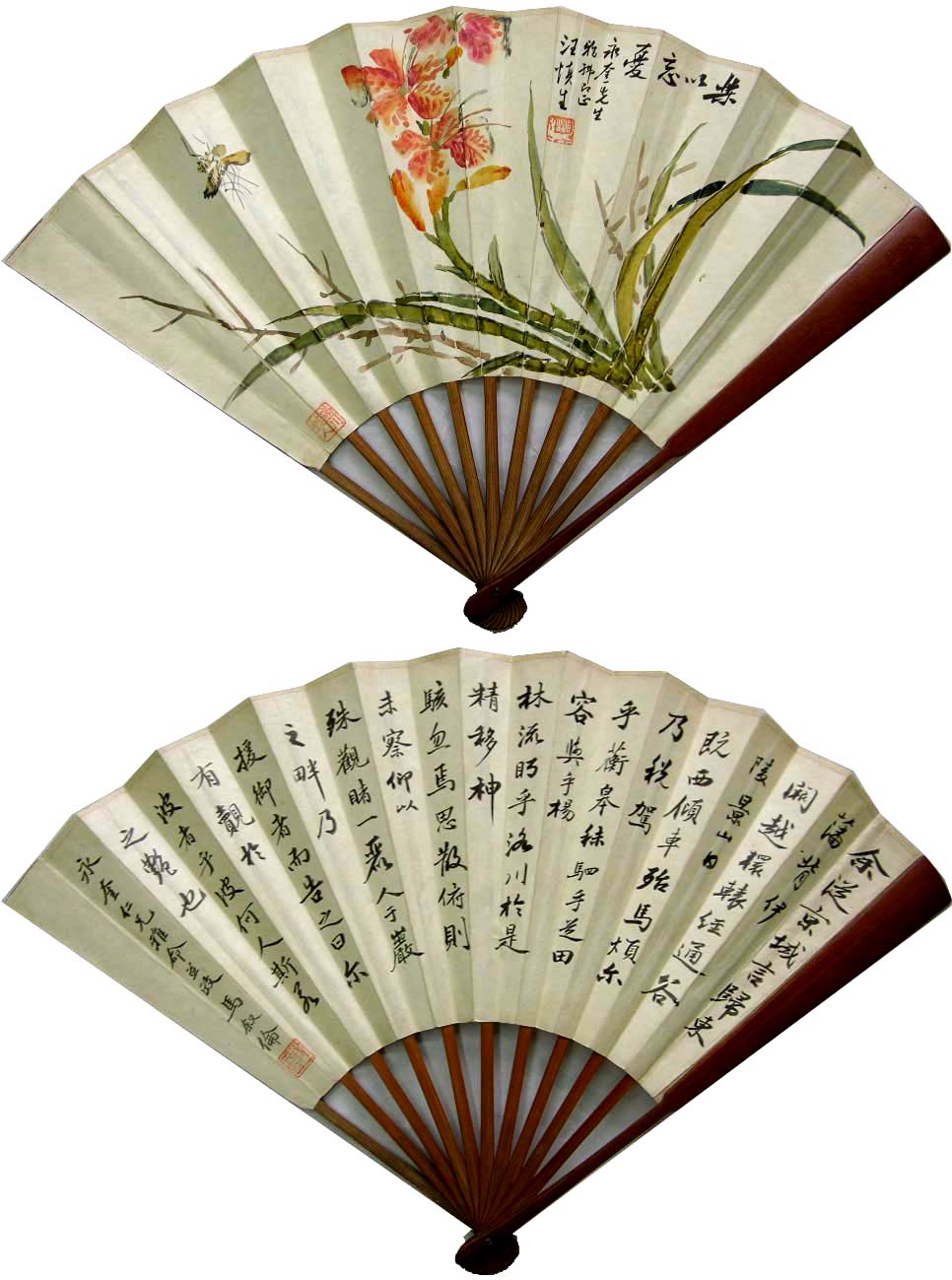 ����wr �����ֻ���Ʒ