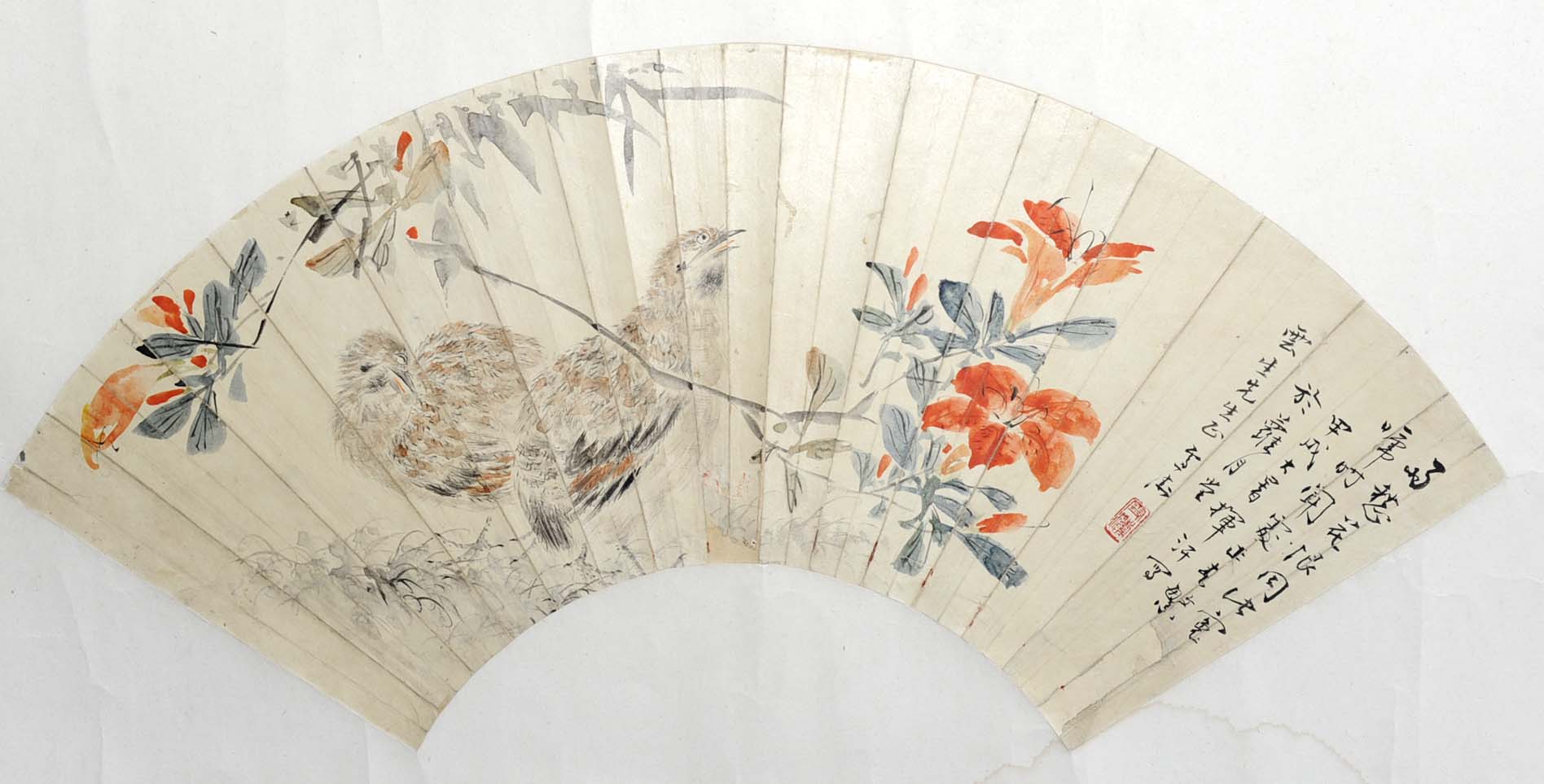 ��ѩ��wxt ���������ֻ���Ʒ