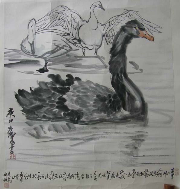 ����hz ����ֻ���Ʒ