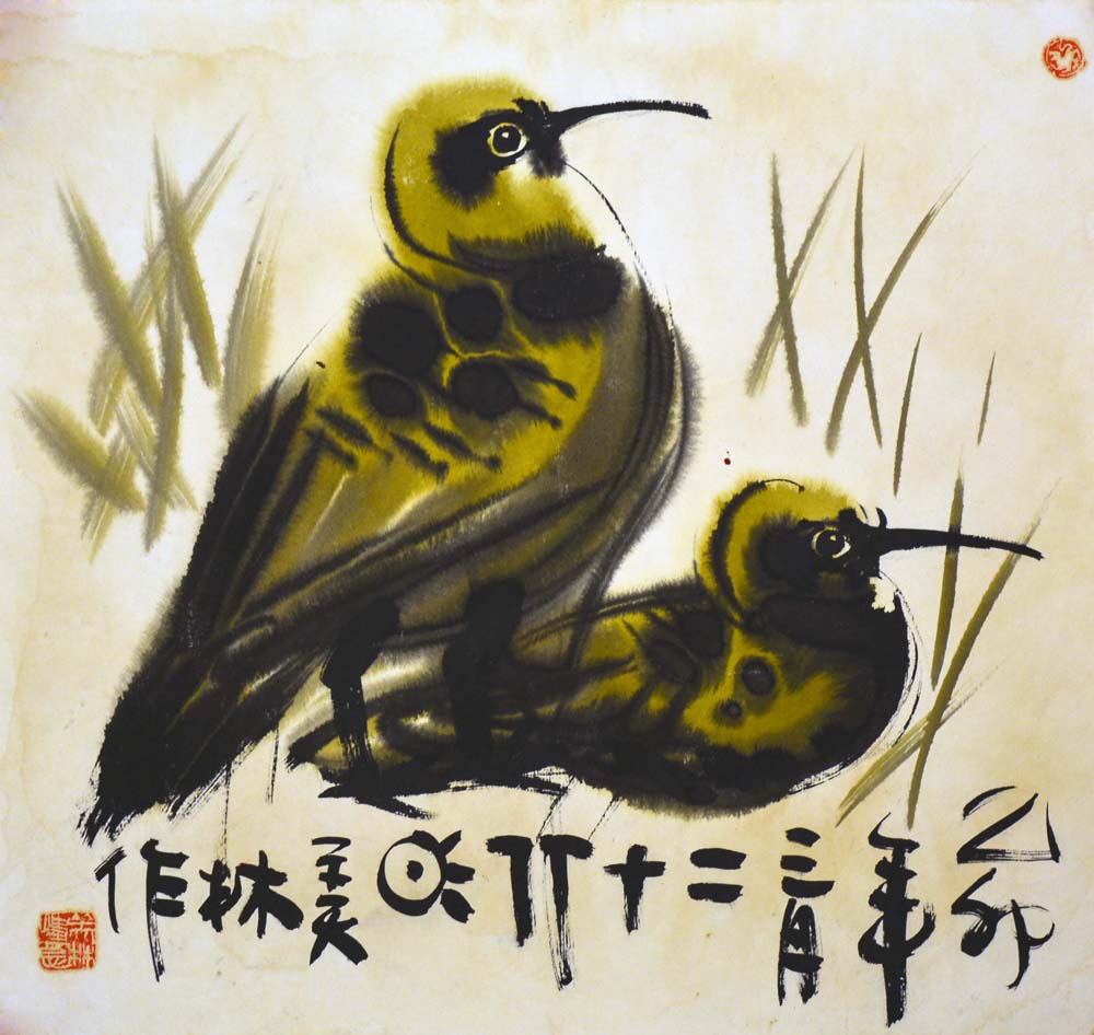 ������hml ˫���ֻ���Ʒ