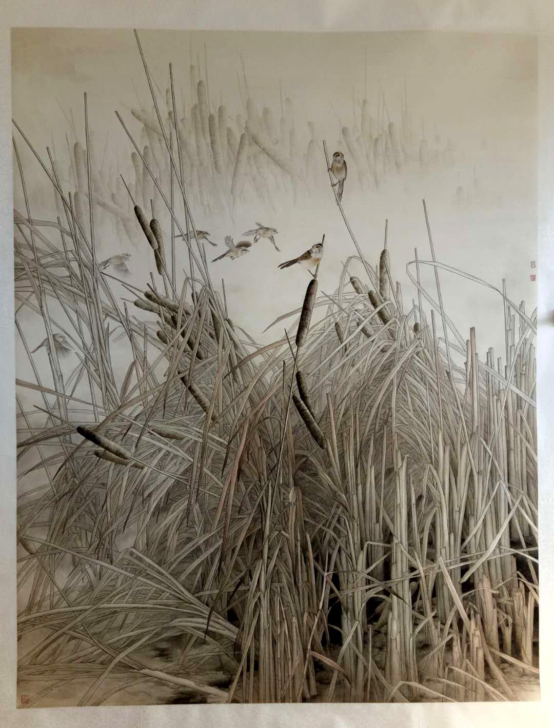 ������syl ��ȥ�����ֻ���Ʒ