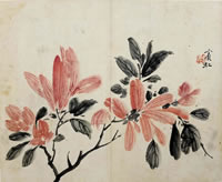 �Ʊ���hbh�����ֻ���Ʒ