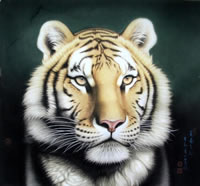 ��iwy ��ͷ�ֻ���Ʒ