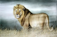 ��iwy ʨ���ֻ���Ʒ