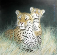 ��iwy ˫��ͼ�ֻ���Ʒ